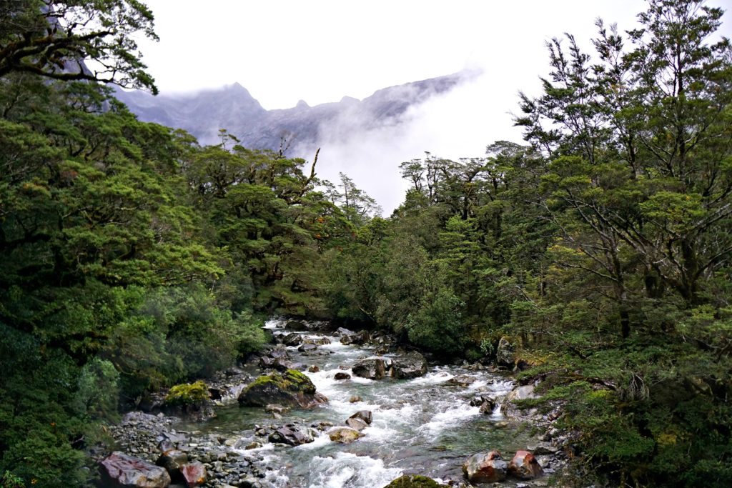 Milford Sound 6 1024x683 1