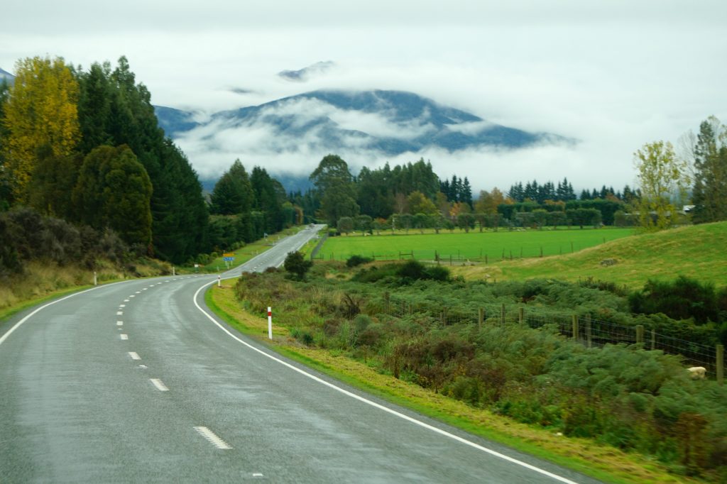 Road to Milford Sound 1024x682 1 2