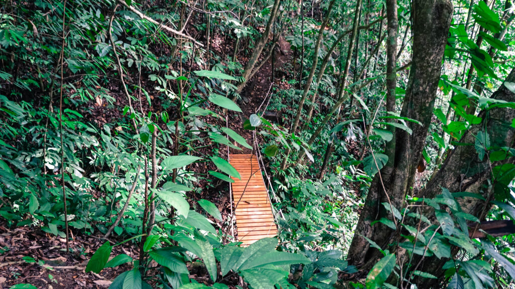 trail to waterfall