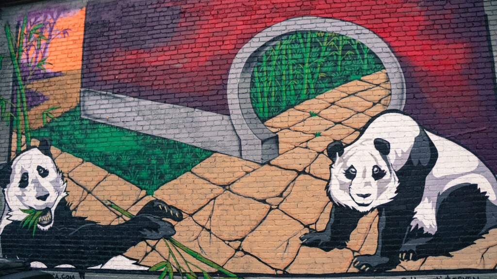 Panda Mural Chattanooga