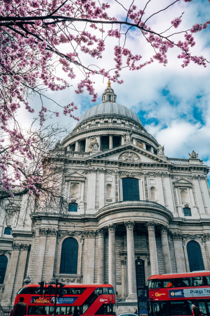 St. Pauls Blooms