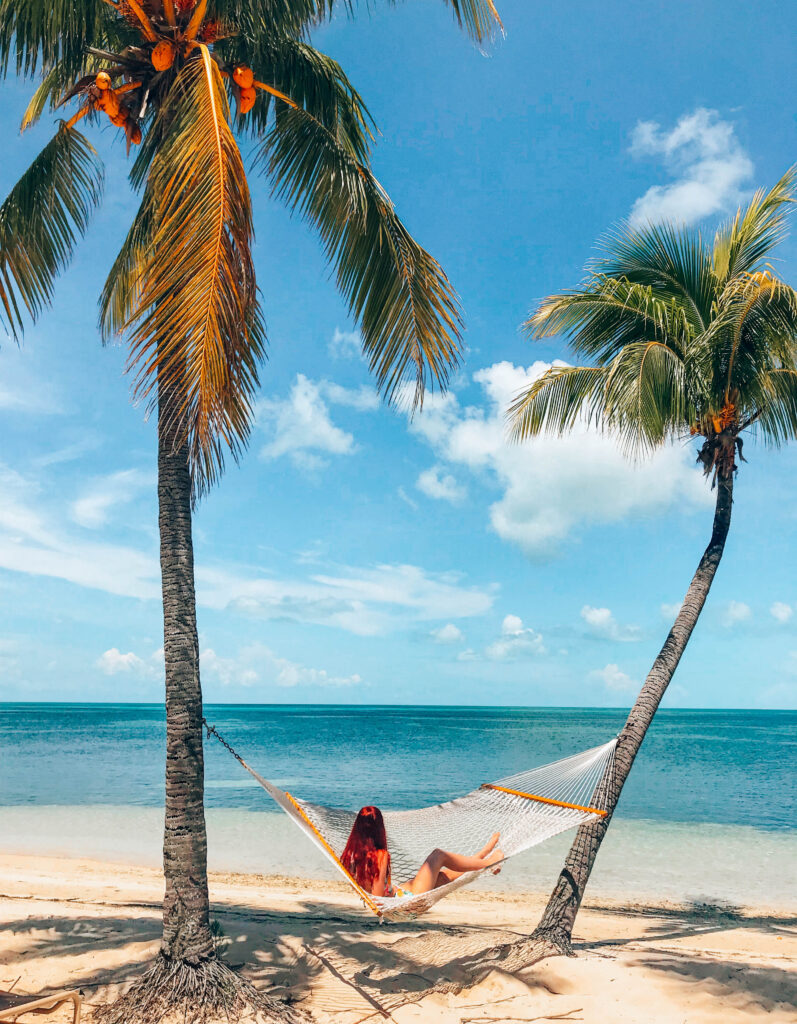 Palm Hammock