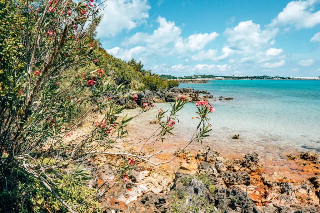 Sandy Beach Bermuda
