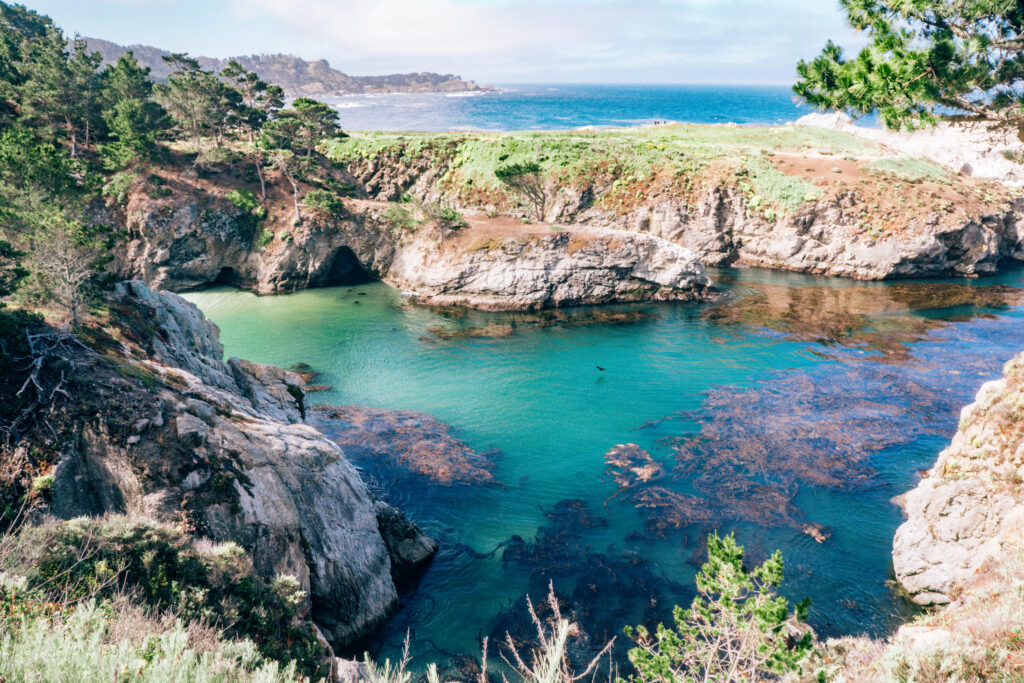 Point Lobos