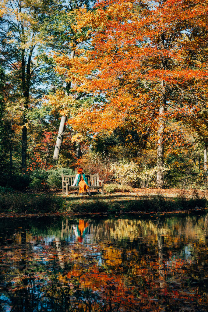 Reflection Pond