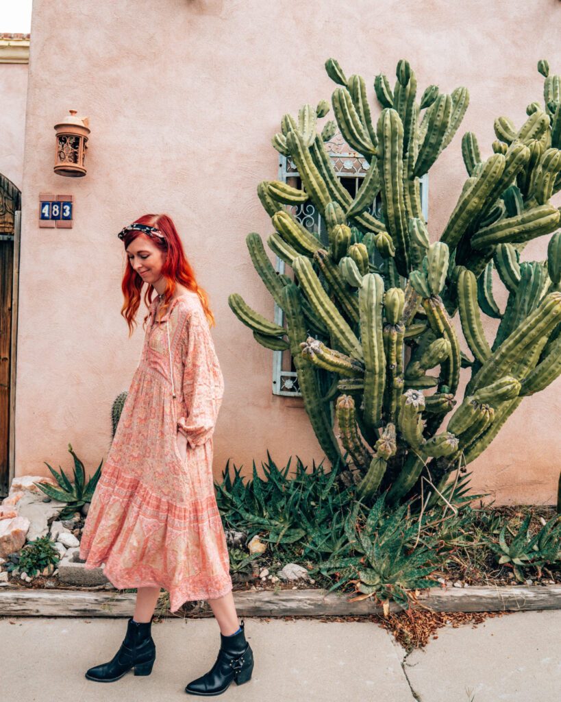 Barrio Viejo cacti 1