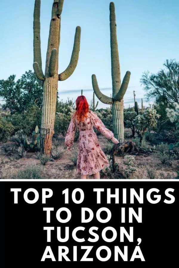 Things to do in Tucson Arizona