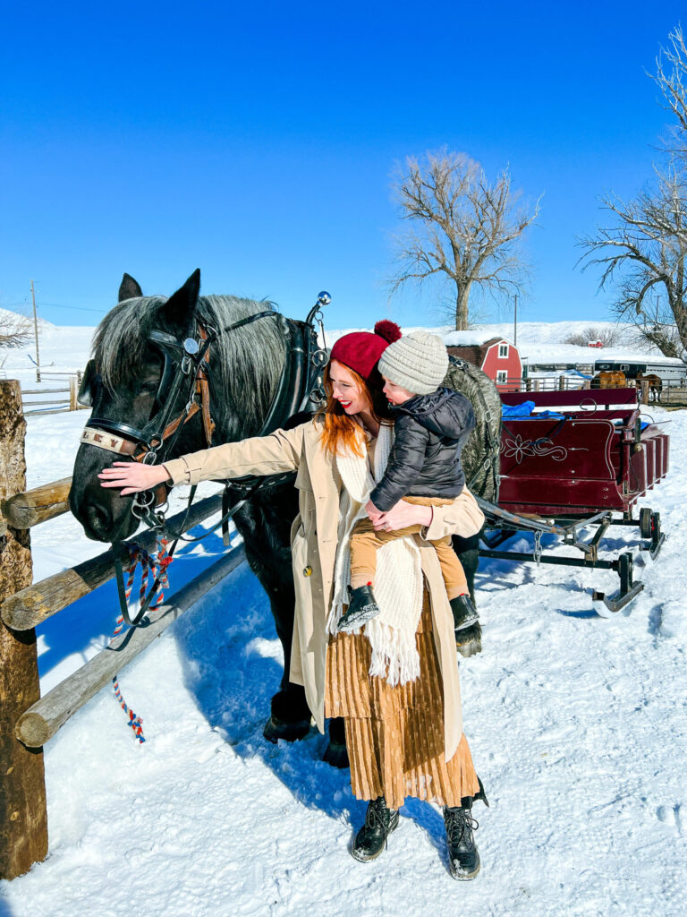 Petting a black horse near sleigh