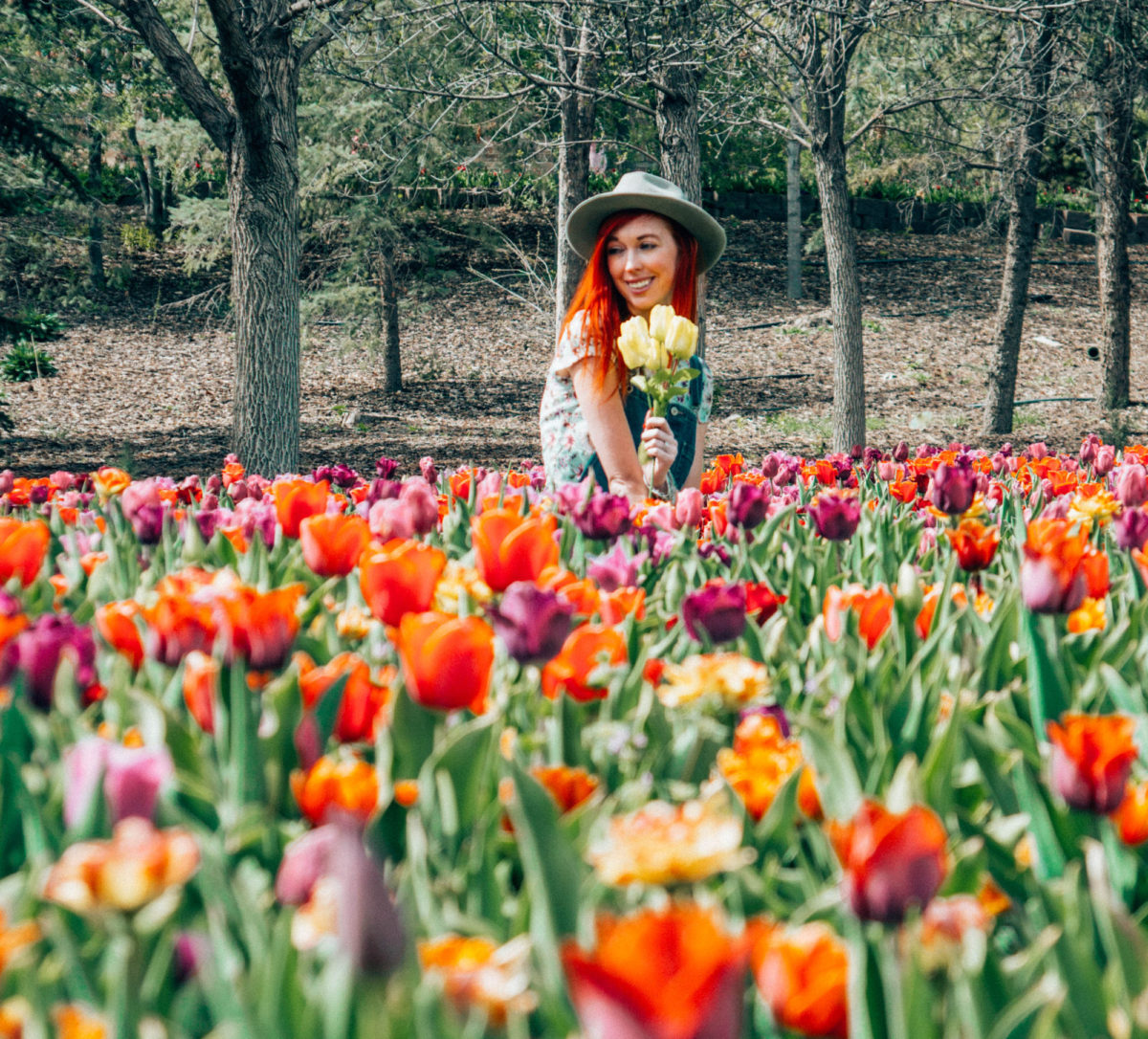 Top Things to do in Salt Lake City Ultimate Guide Globetrotting Ginger