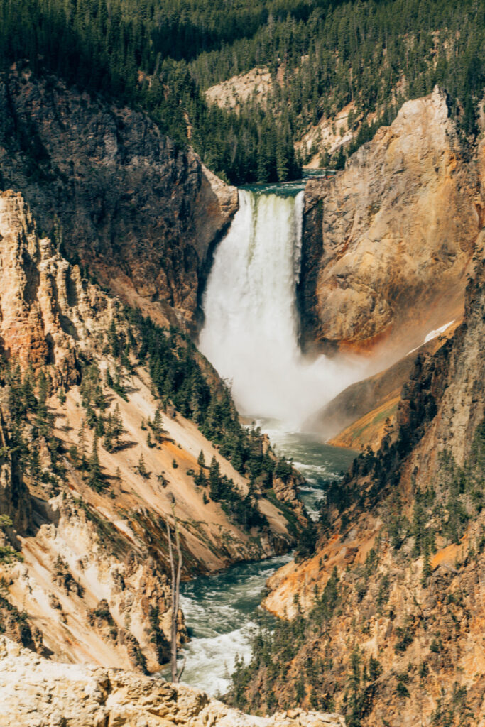 Grand Canyon of Yellowstone