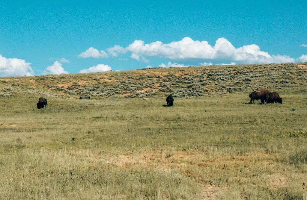 Bear Rive State Park