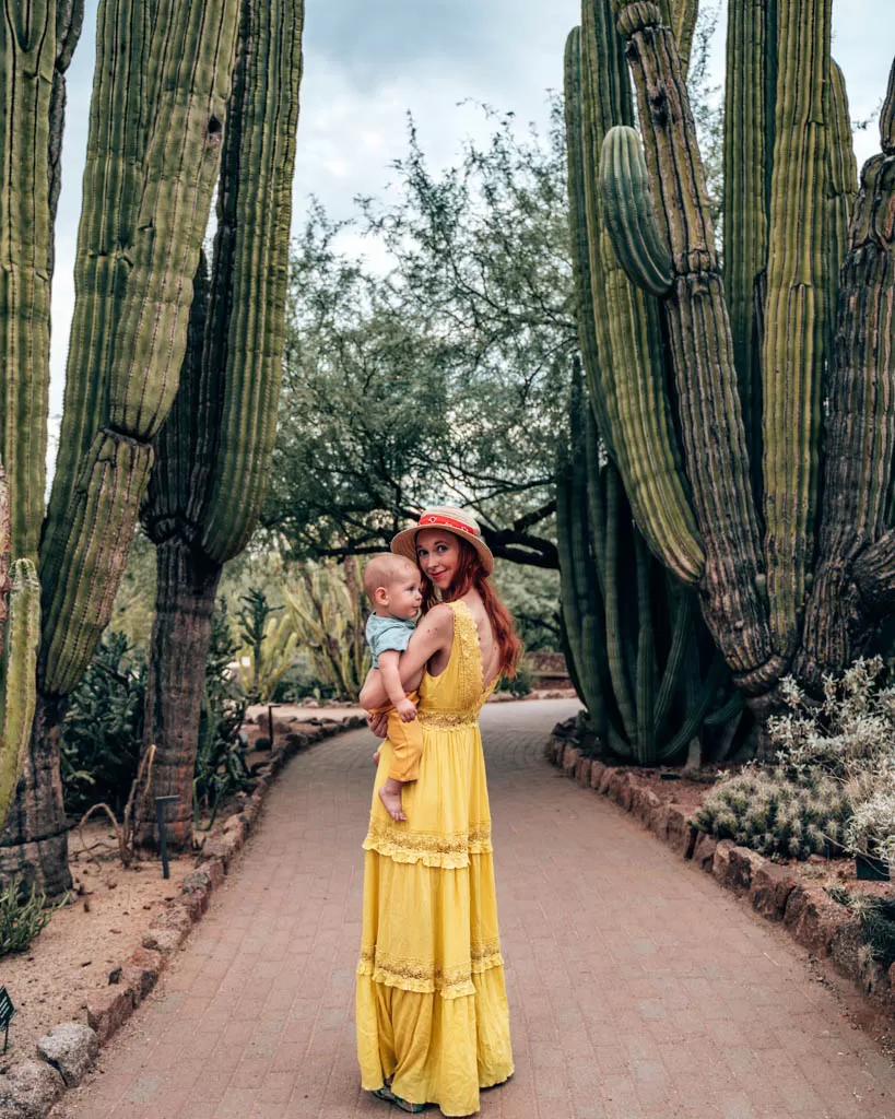 Path and large Cacti around