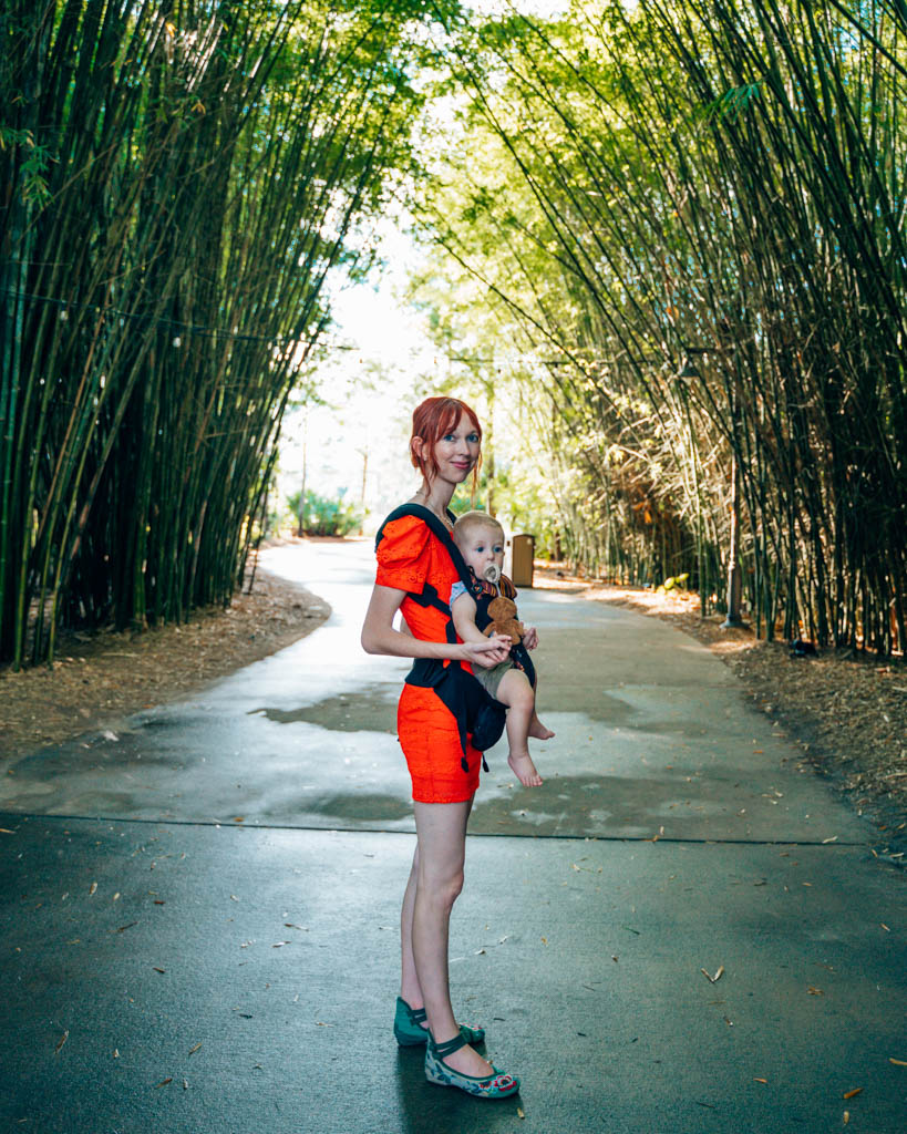 Standing in bamboo forest