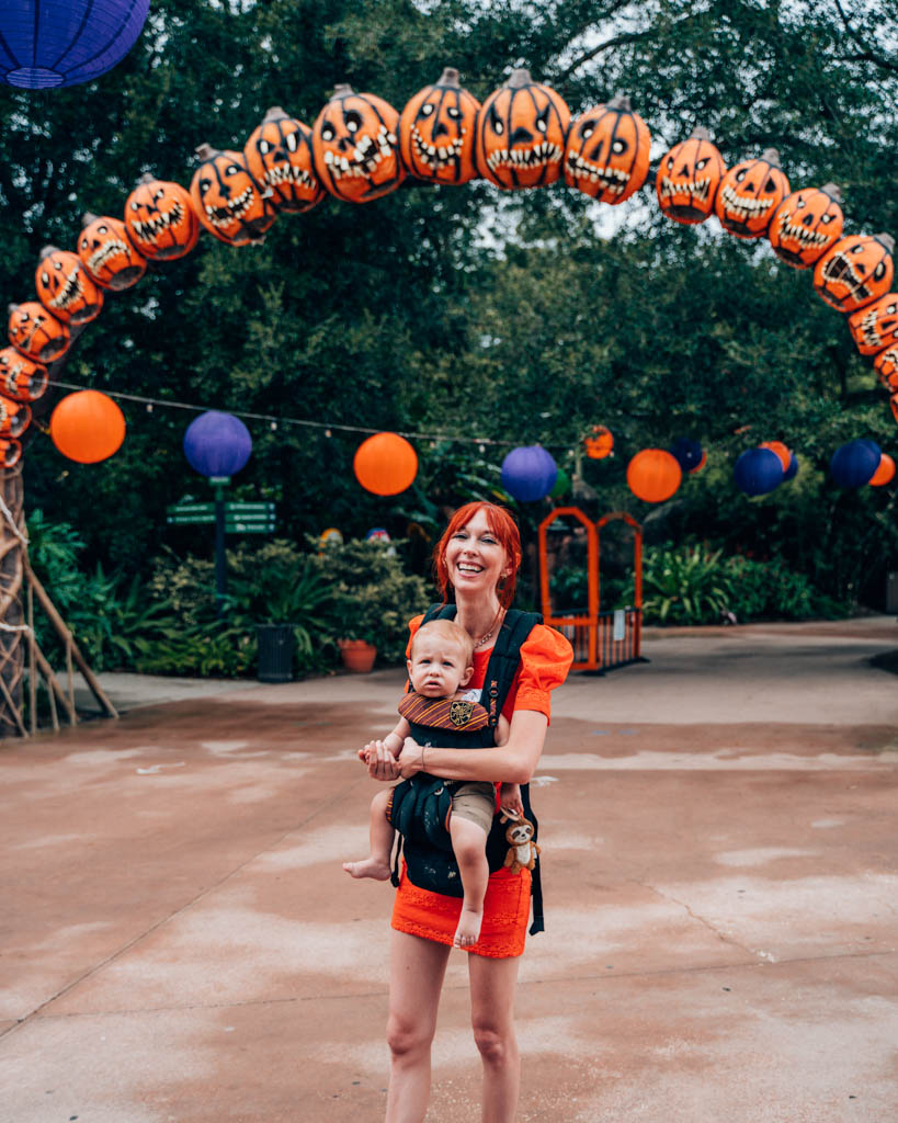 Halloween decor at Jacksonville Zoo