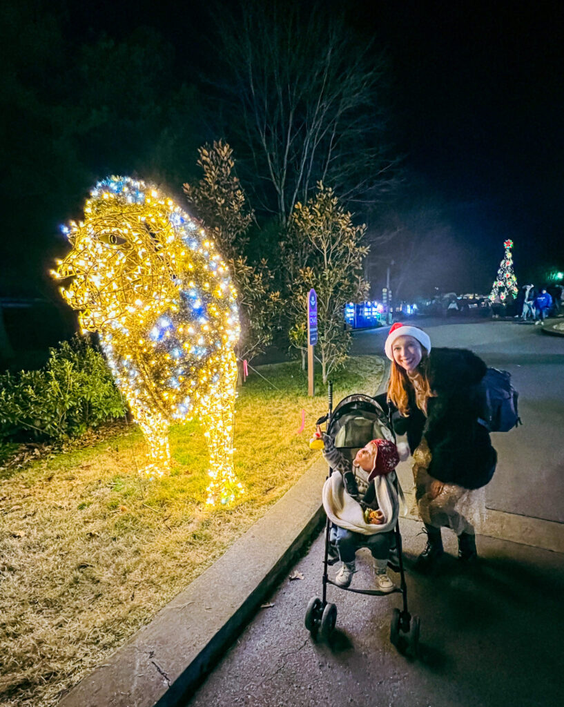 Lion shaped Lights at the Memphis zoo