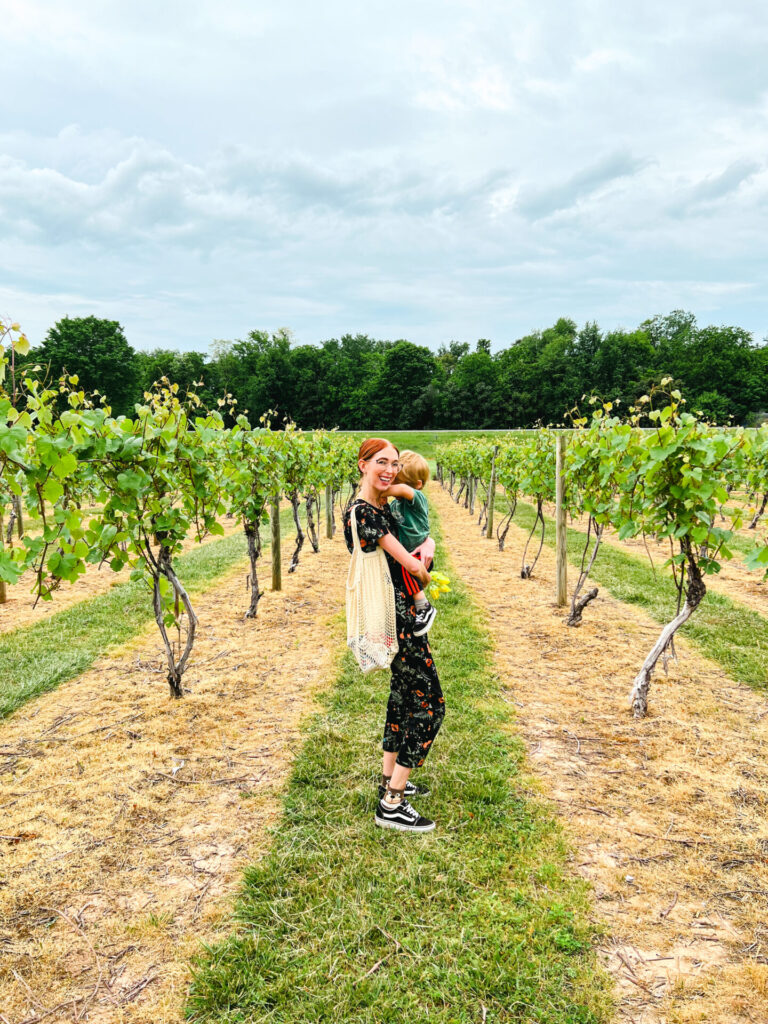 Beachaven Winery and Orchards