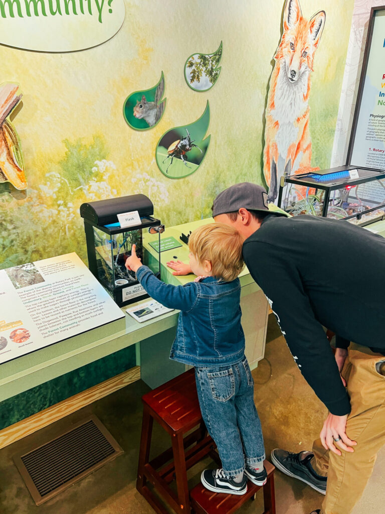 Wade Bourne Nature Center