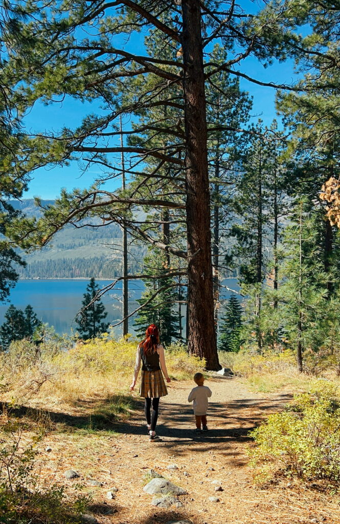 Standing by large tree near Lake Tahoe