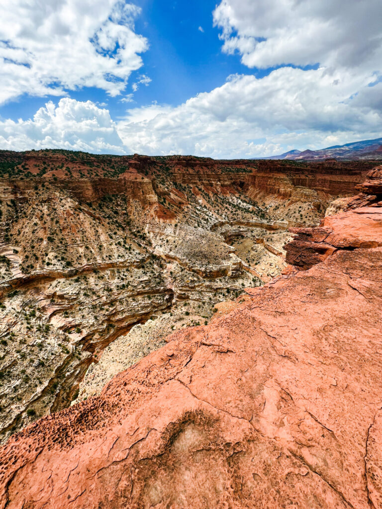 Goosenecks Overlook