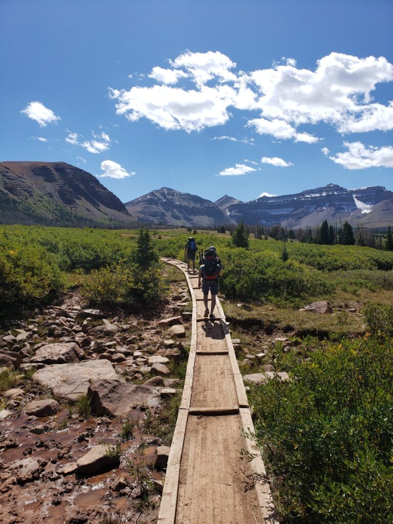 Boardwalk over mud on trail to kings peak