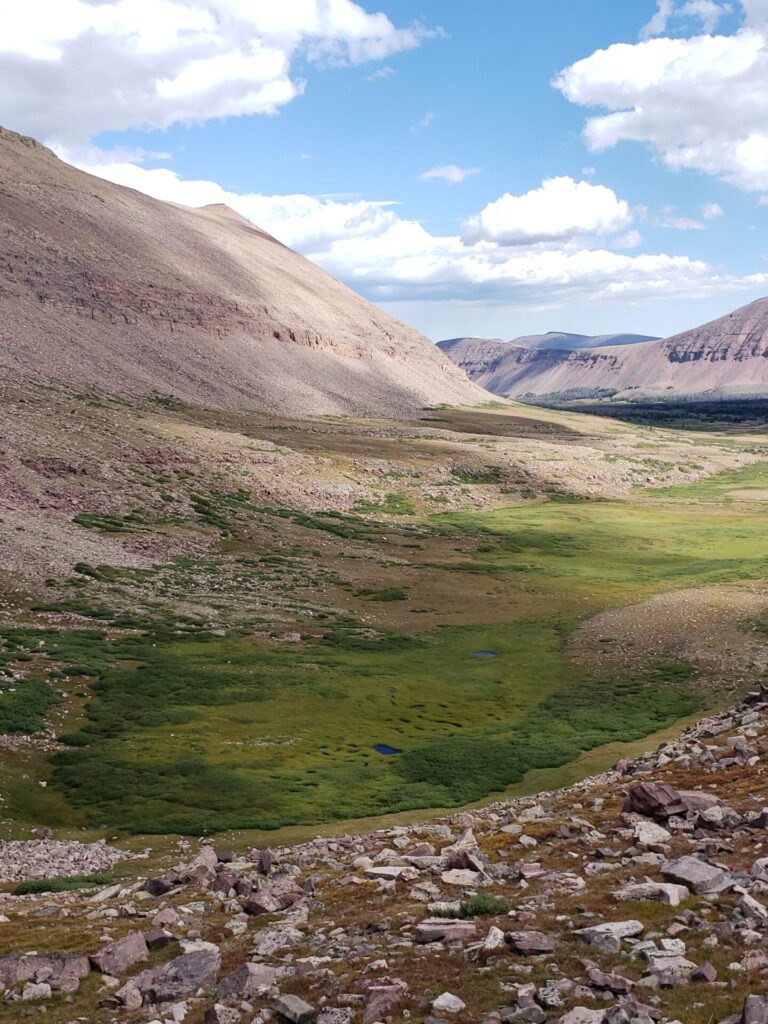 View overlooking Painter Basin from Gunsight Pass