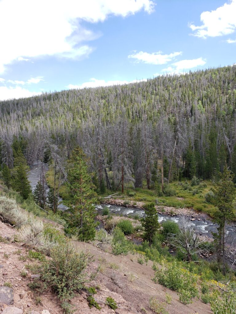 River running alongside you on the hike