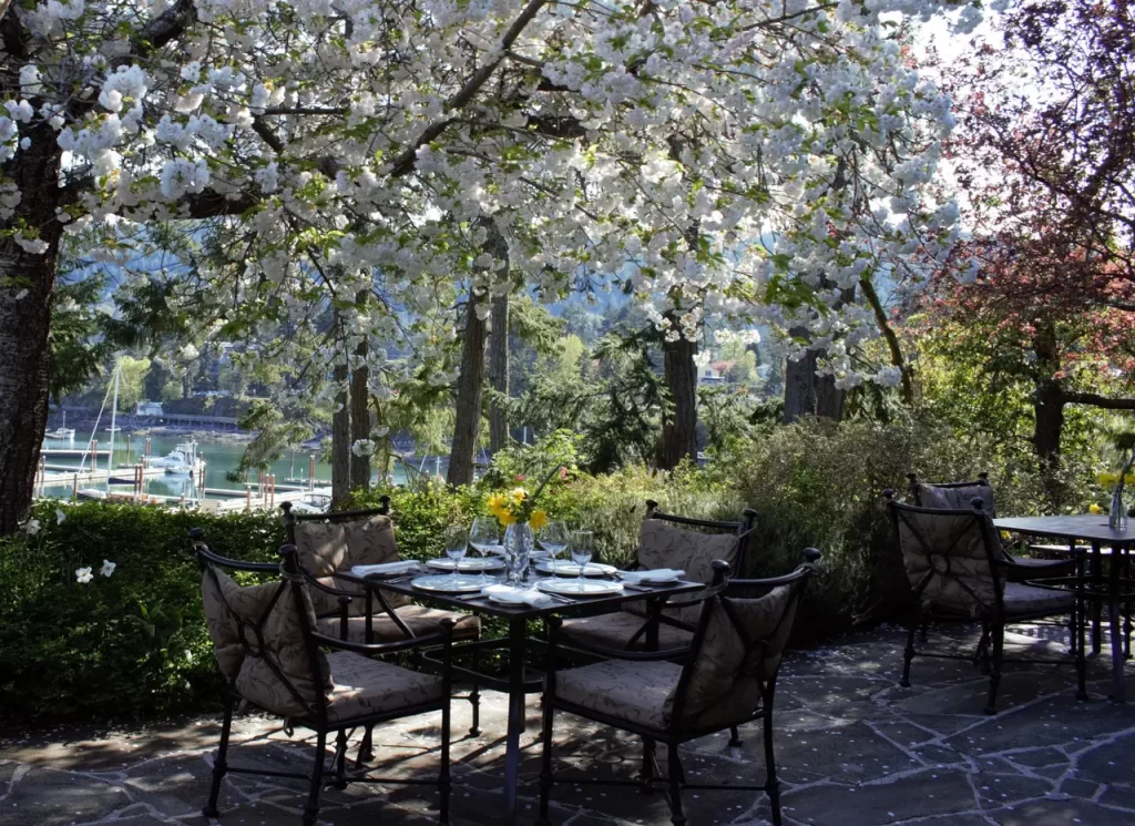 Hastings House outdoor dining with incredible spring tree hanging overhead
