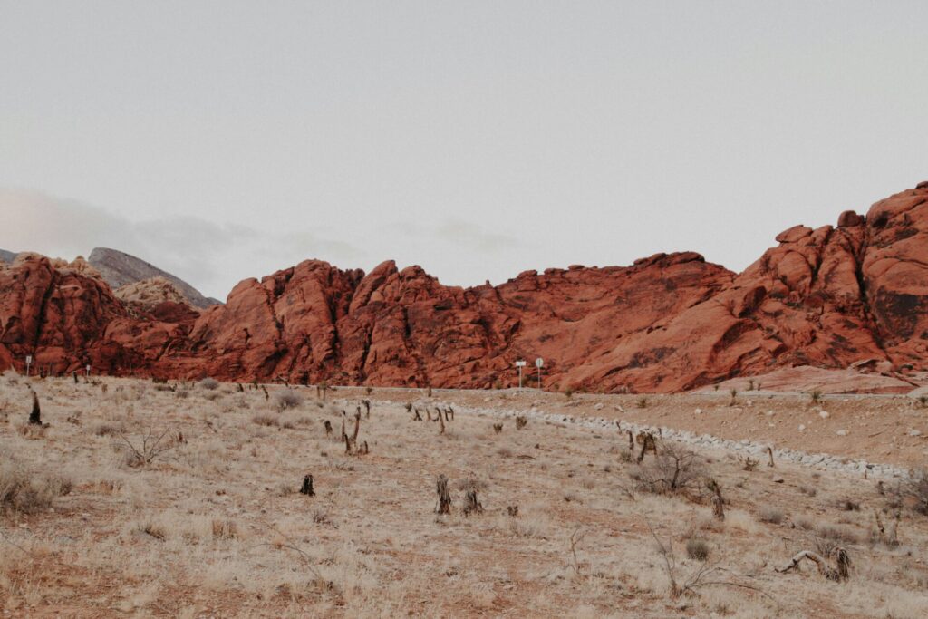 Red Rock Canyon in Las Vegas- off the strip for families