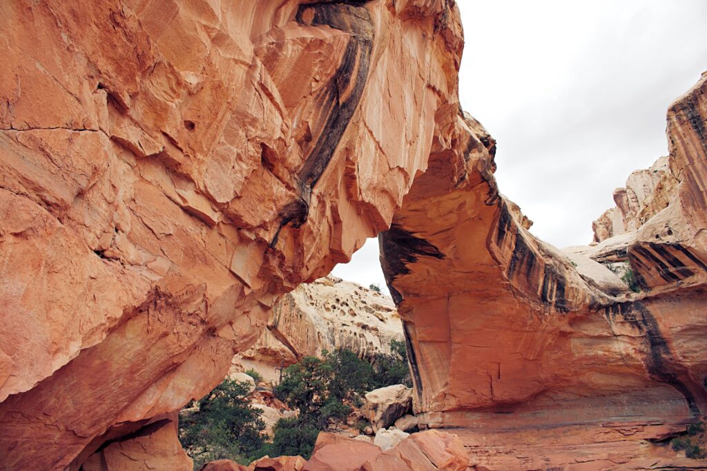 Hickman Natural Bridge in Capitol reef