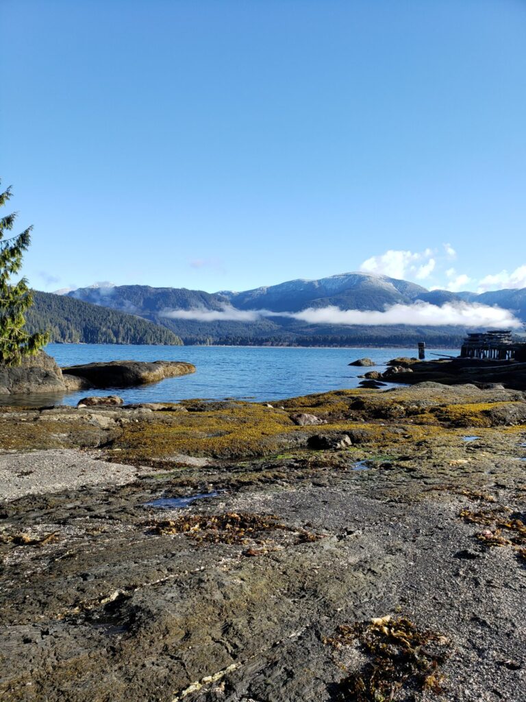 Port renfrew seaside cottages view beach