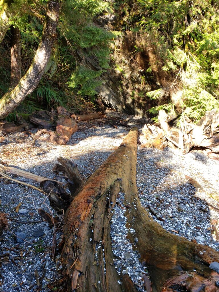 Port renfrew beach