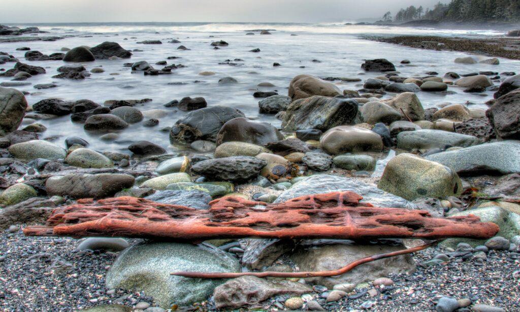 Botanical Beach Port Renfrew